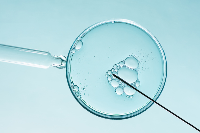 Fertility lab image